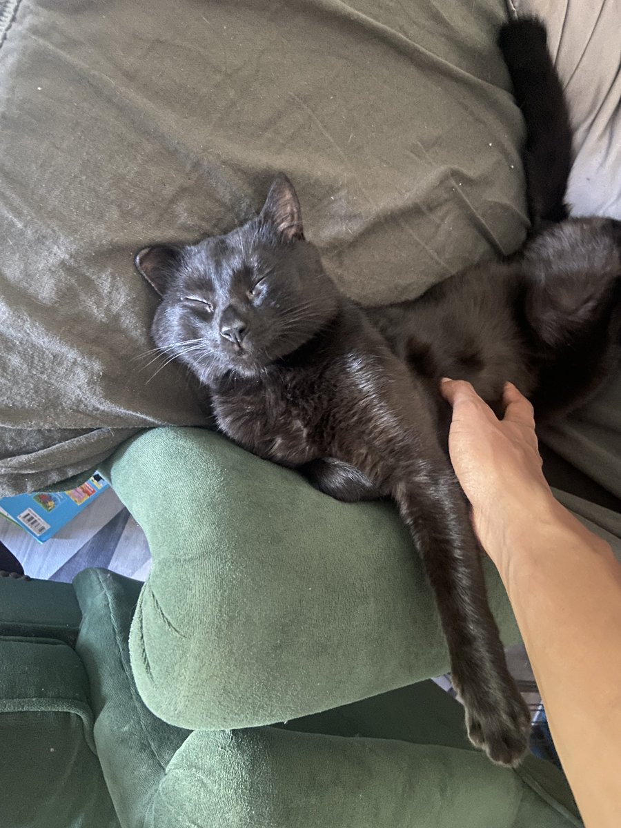 Mynethecreator's tweet image. 