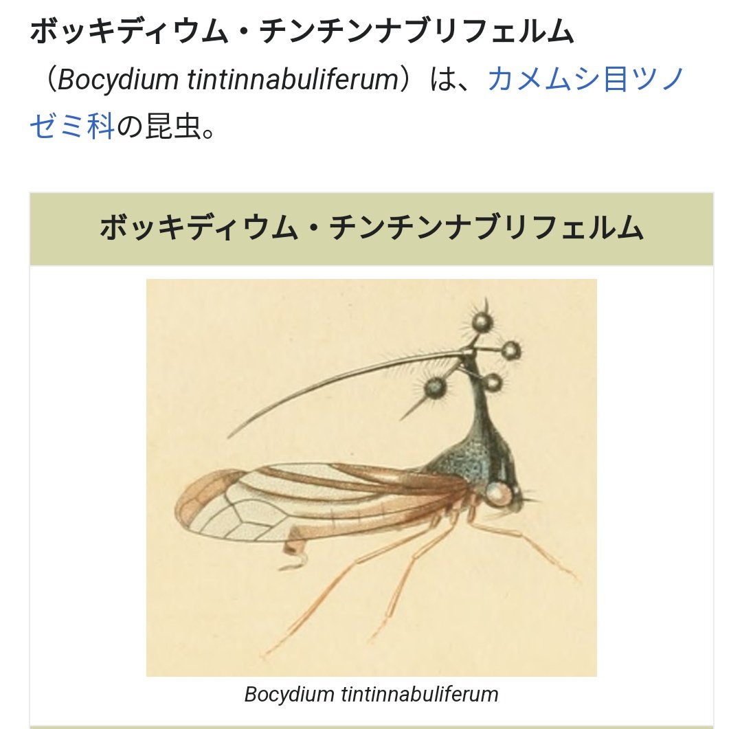 YakedoBurn's tweet photo. 甘い匂いに誘われた私は https://t.co/ETomYVhLUX