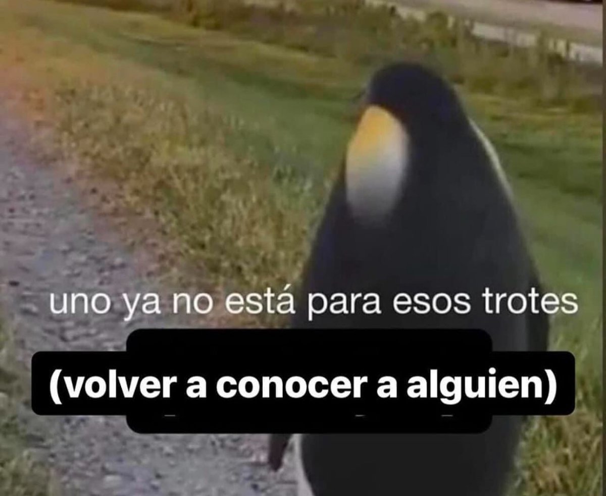 Memakker tweet media