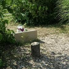 J+4 après le tronçonnage de l’olivier en mémoire d’Ilan Halimi.
Toujours aucune réaction de LFI (Caron &amp; co) ni de EELV.
👉 L’antisémitisme, clairement, ce n’est pas leur sujet.