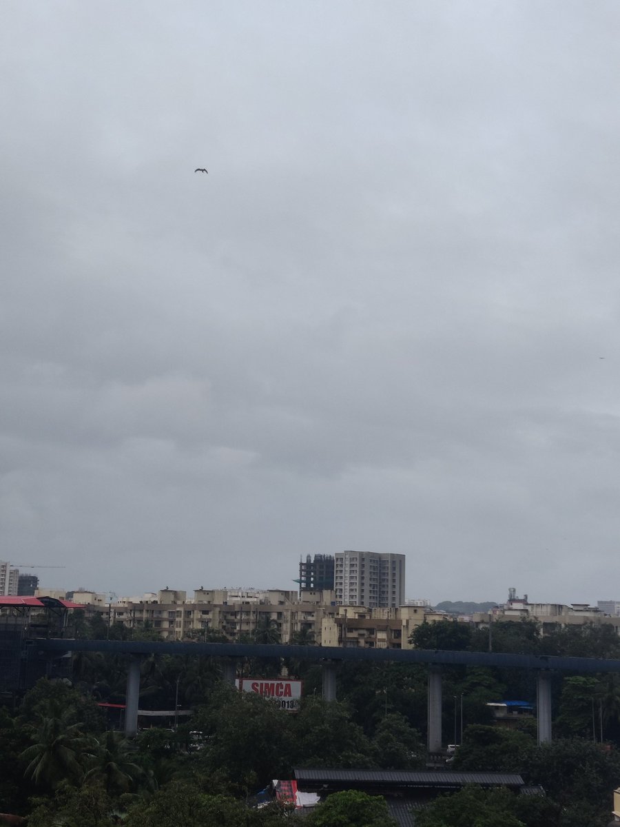 Devang1305's tweet photo. @rushikesh_agre_ Le rains: Lo chali me (After IMD prediction)🏃 

Hopefully the Rain stays back for the long term and gives a good down pour until next month:) https://t.co/DQmsxhGL7D