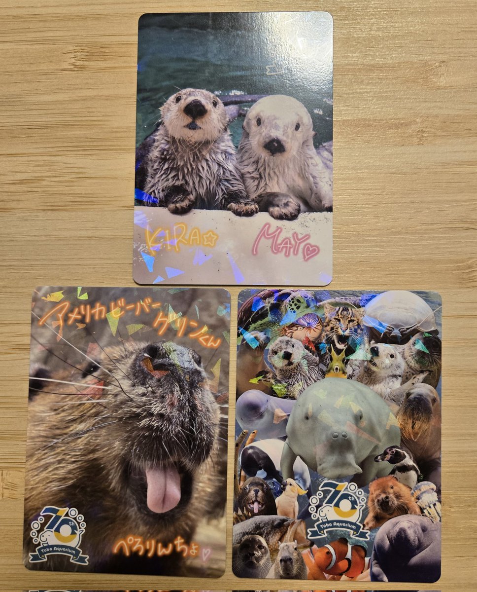 鳥羽水族館 70th コレクションカード レア キラちゃん m58956715260_1.jpg?1754618138