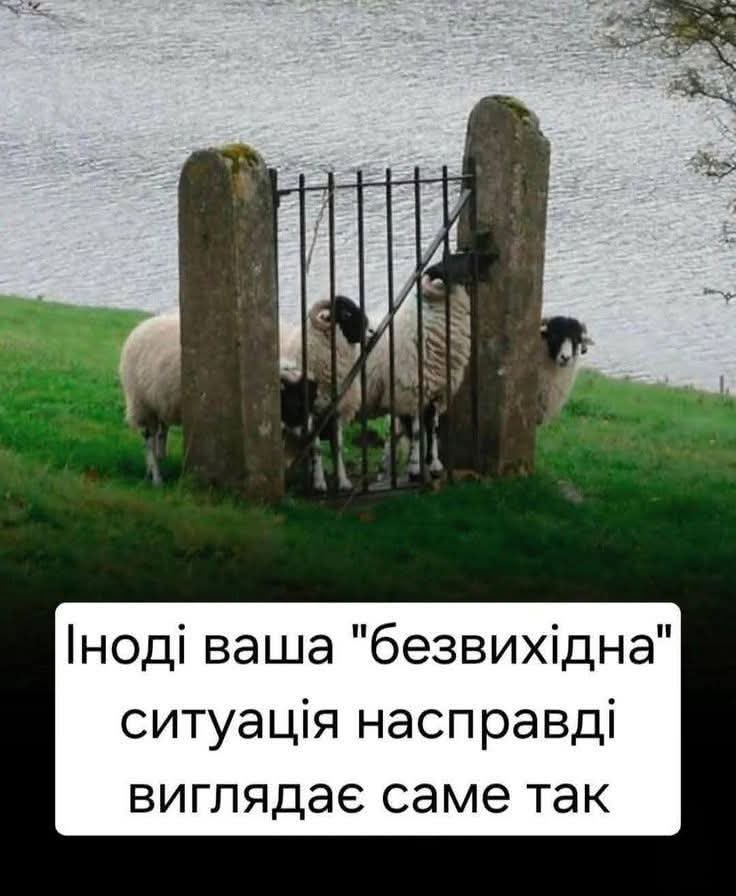 жаба польова (@sector_m14) on Twitter photo Паркан - це 40 тис, які лишилось дозбирати на обладнання еваку🚑 для 210 штурмового полку
Давайте знайдемо цей вихід сьогодні і розіграємо лего-швидку від <a href="/bibibi_ua/">Будинок Іграшок</a> 🤩
send.monobank.ua/jar/617rovrxZh Паркан - це 40 тис, які лишилось дозбирати на обладнання еваку🚑 для 210 штурмового полку
Давайте знайдемо цей вихід сьогодні і розіграємо лего-швидку від <a href="/bibibi_ua/">Будинок Іграшок</a> 🤩
send.monobank.ua/jar/617rovrxZh