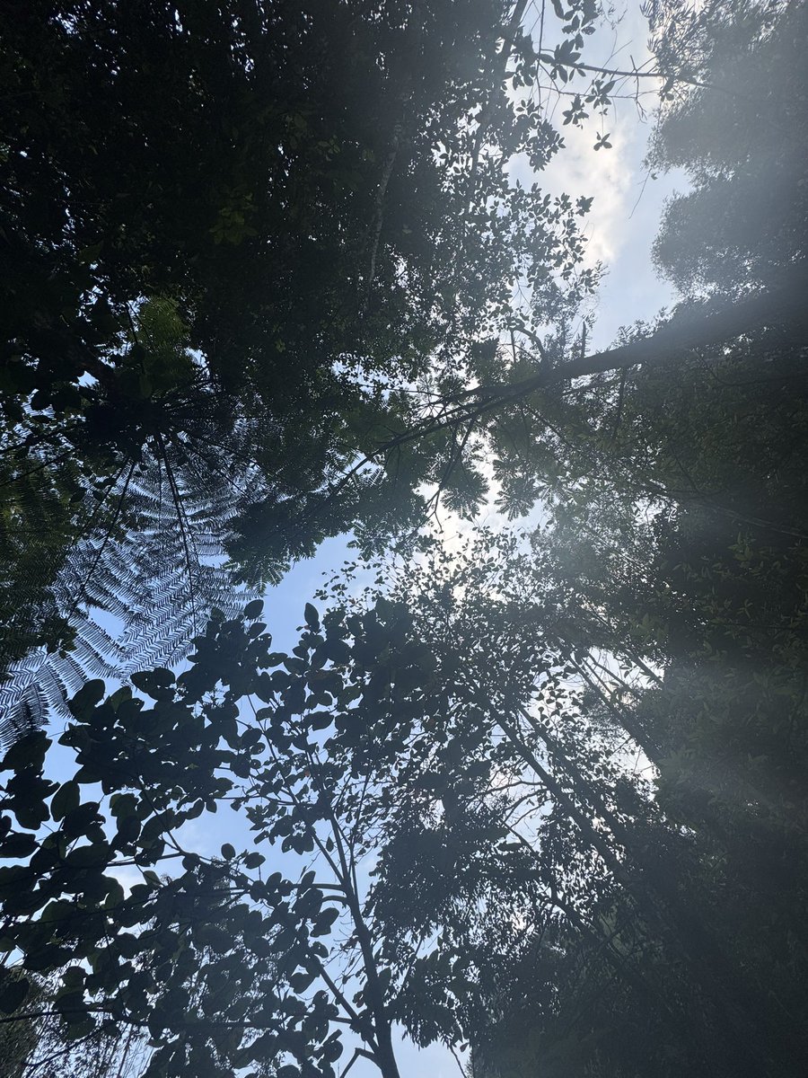 vhalhen123's tweet image. #wonderfulIndonesia
#Sukabumi
#westjava

Hibernation vibes for Independence Day  

#Indonesia80tahun