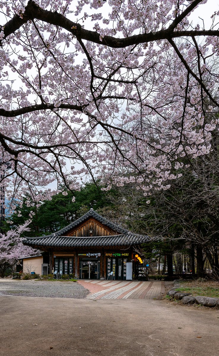 Seoraksan National Park, S. Korea