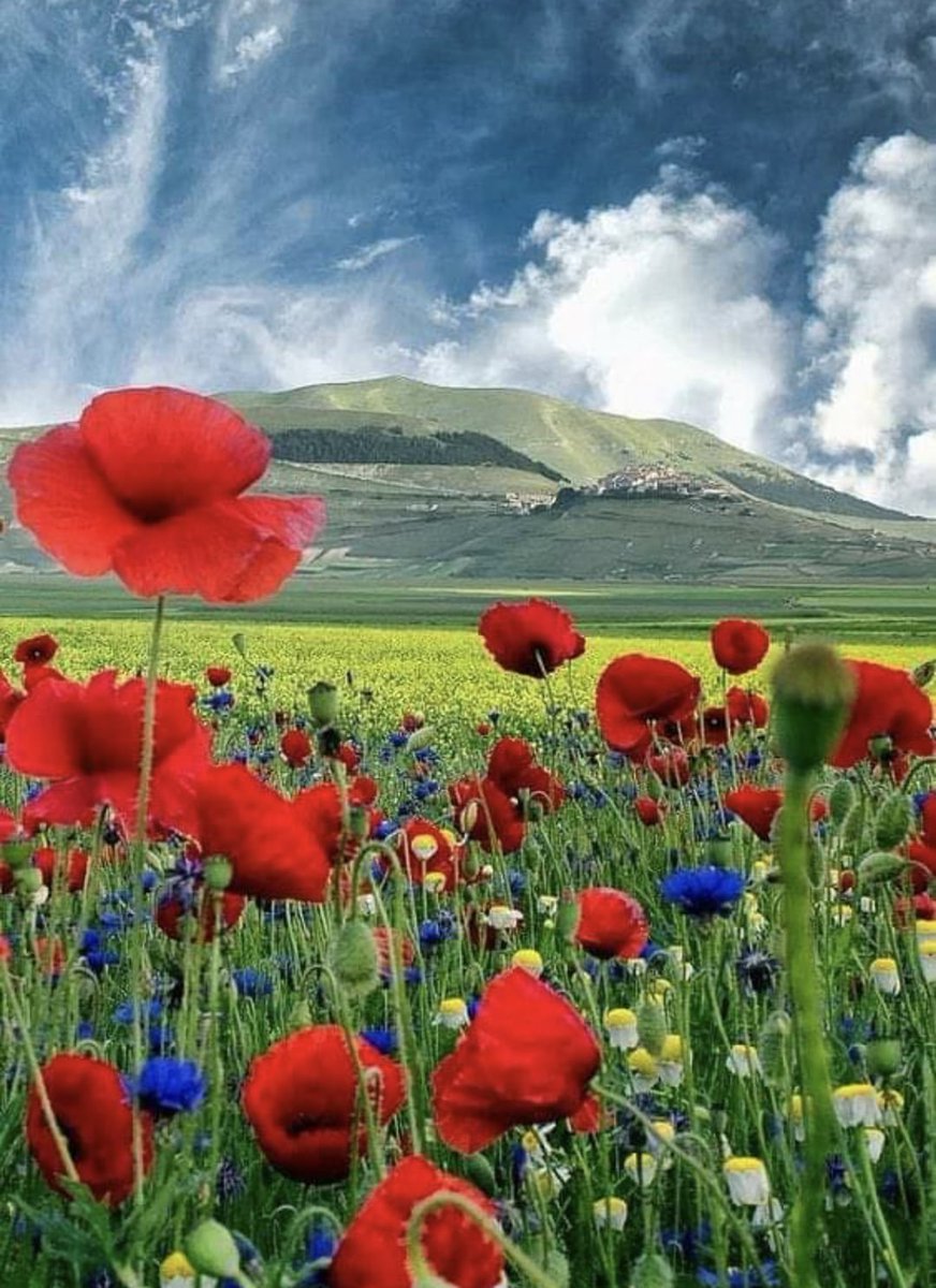 Encarna (@encarnaalgr) on Twitter photo <a href="/gemprojecmarket/">gemproject</a> ¡Tengan todos un saludable y relajado día hoy Domingo! Un gran abrazo para todos
#LeoRespira #PremRawat
#Infpeace #Peaceispossible
#Respira #LibroRespira <a href="/gemprojecmarket/">gemproject</a> ¡Tengan todos un saludable y relajado día hoy Domingo! Un gran abrazo para todos
#LeoRespira #PremRawat
#Infpeace #Peaceispossible
#Respira #LibroRespira