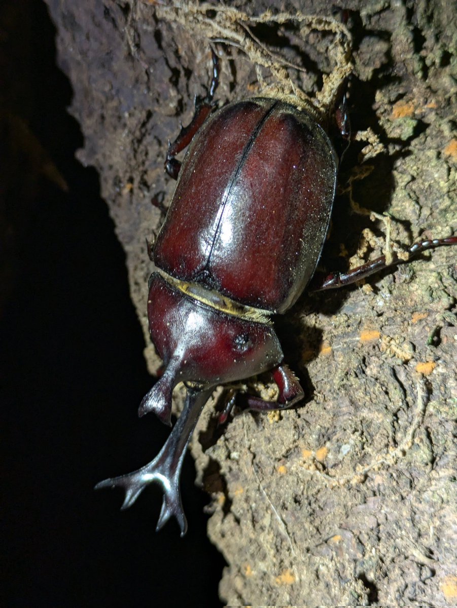 まさやん (@masayan59896607) / X