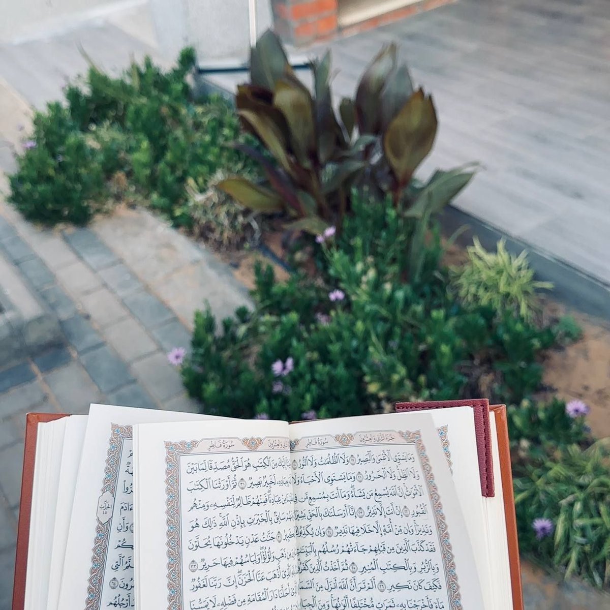 يُزهر القلب بملازمة القرآن 🤎
