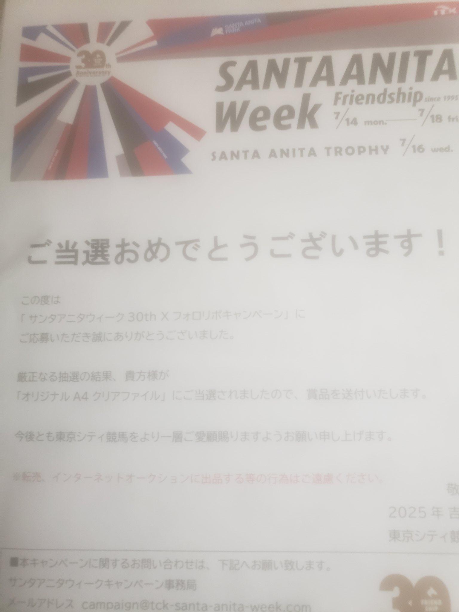 サンタアニタウィーク 限定クリアファイル　当選証明書付属 サンタアニタウィーク 限定クリアファイル 当選証明書付属