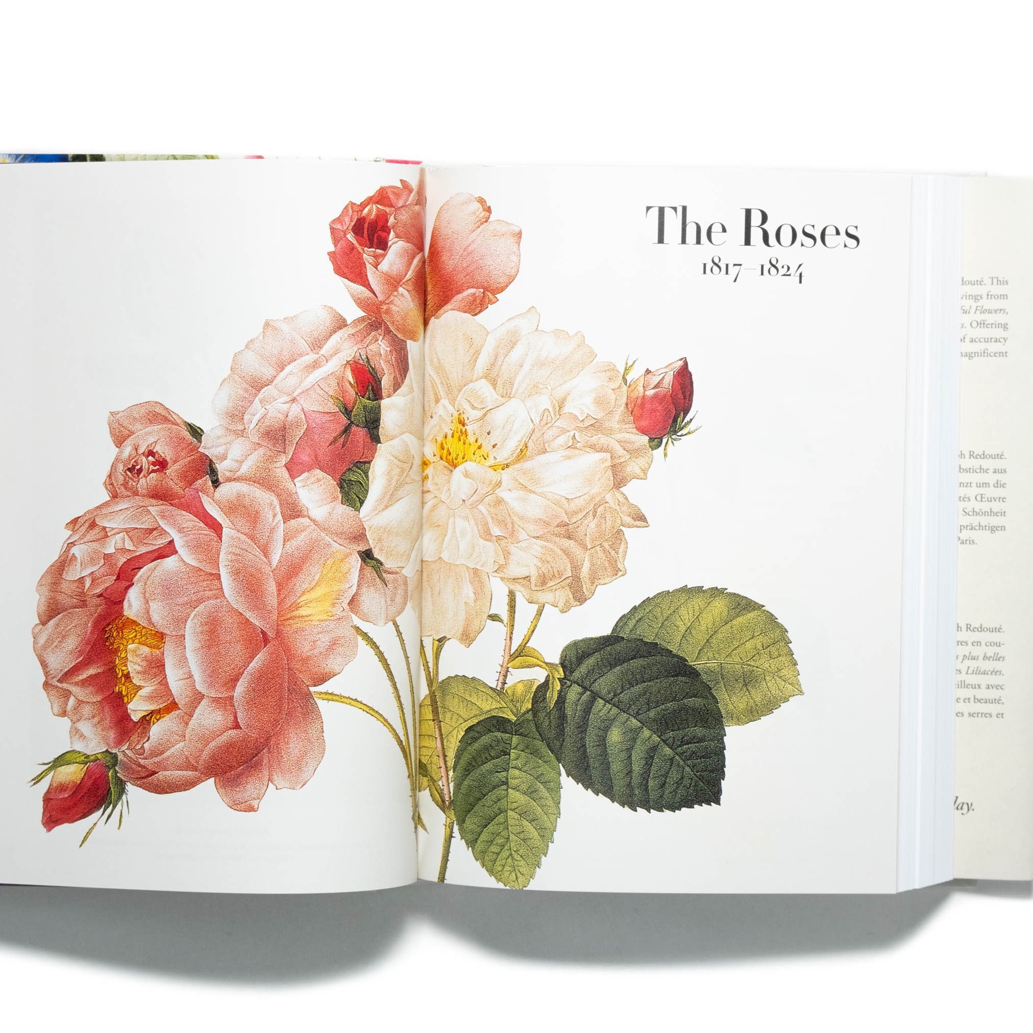 Art Book Iskusstvo on X: 