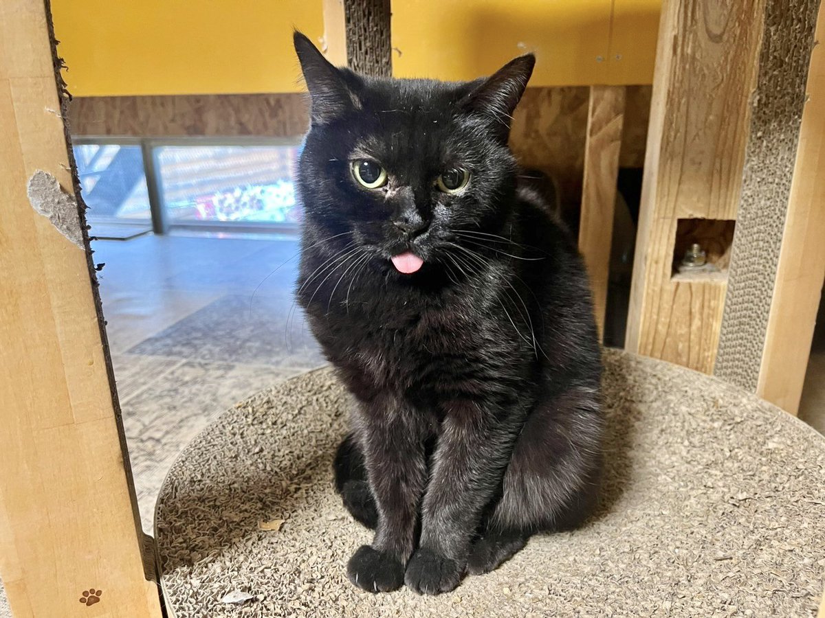 青柳ワークス🍀 (@TERU48924939) / X