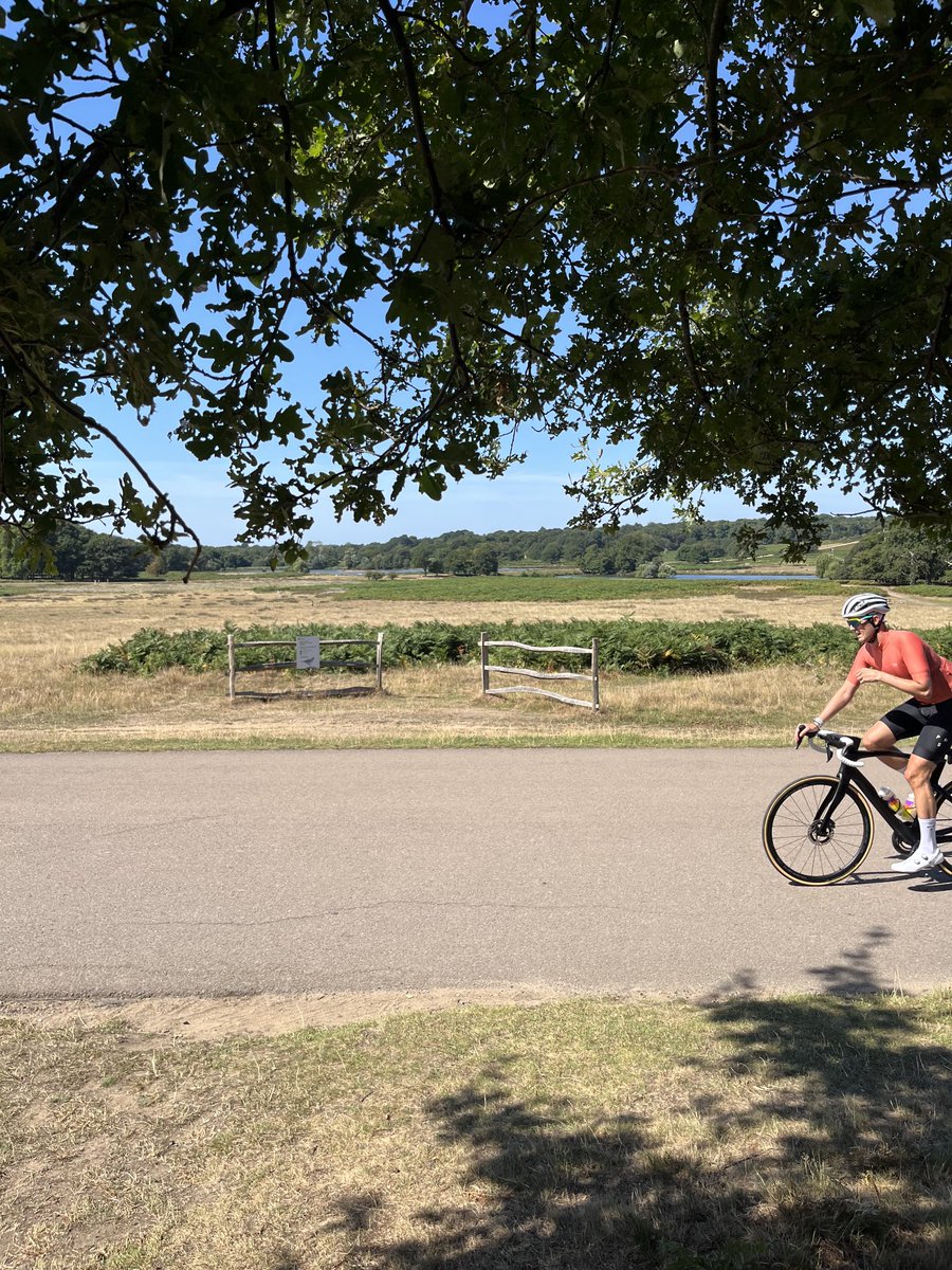 Richmond Park on a sunny Sunday  - nine miles from the centre of the best city in the world