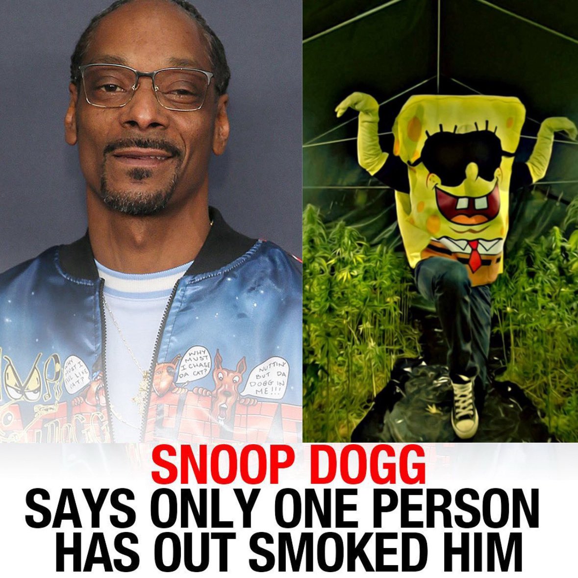 Übersetzung: Snoop Hund sagt nur eine Person hat ihn ausgeraucht.
Und dann ein Bild von Gangster SpongeBob Rapper SpongeBozz
Das bedeutet also nur SpongeBozz hat Snoop Hundd ausgeraucht 
Folgt mir für weitere Witz Erklärungen und schickt mir gerne welche