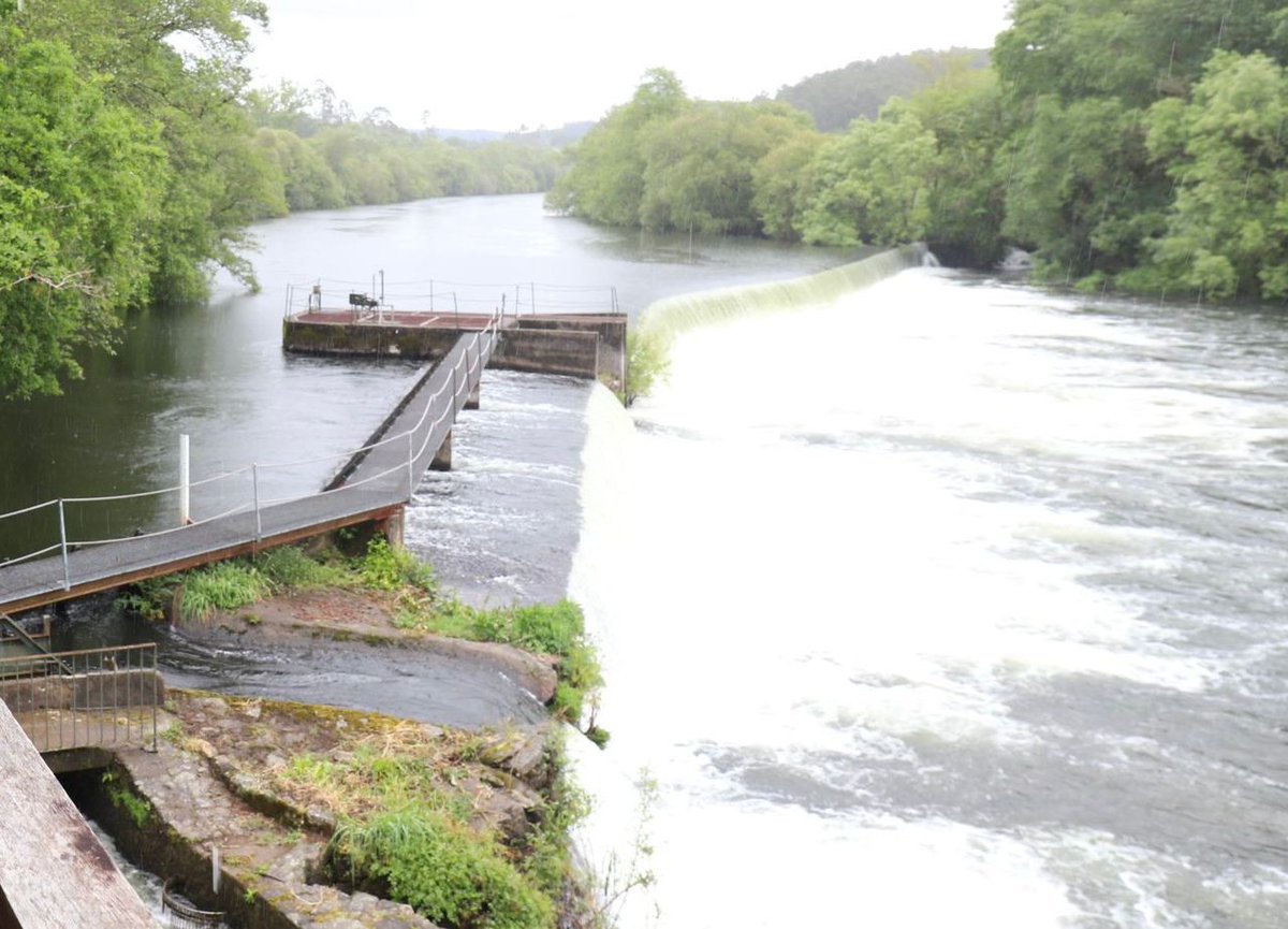 MAmbienteXunta's tweet image. 🌳 Apostamos por solucións baseadas na natureza para facer fronte aos riscos derivados de fenómenos meteorolóxicos extremos como inundacións ou secas

🤝 Co proxecto europeo Resurexion, do que Augas de Galicia é socio, imos seguir avanzando neste eido

ℹ️ xunta.gal/notas-de-prens…