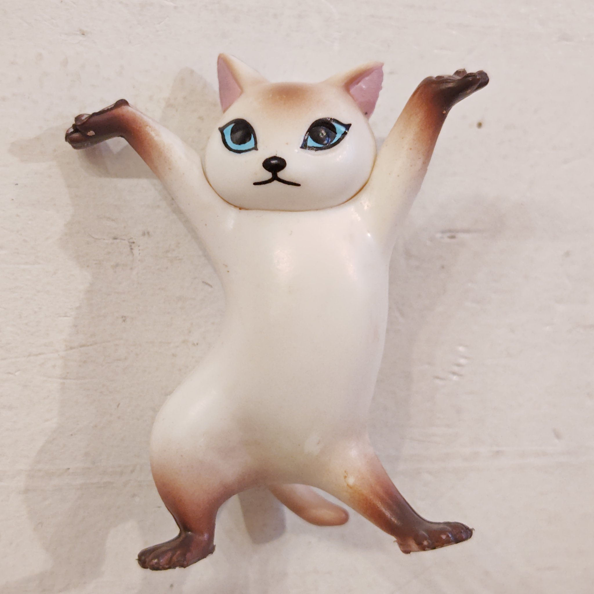 ポケットにゃんこ@京都の猫雑貨店 on X: 