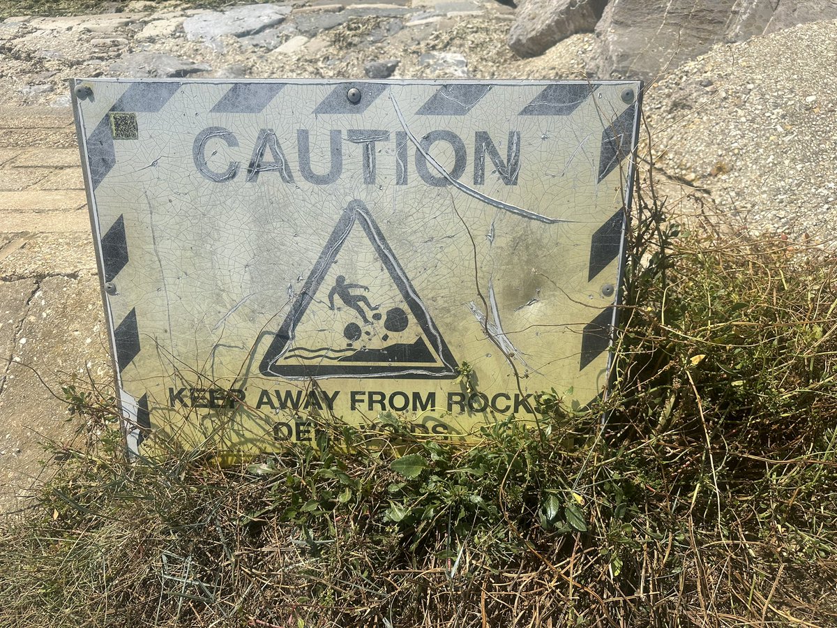 PatrickWall's tweet image. Poor sod.