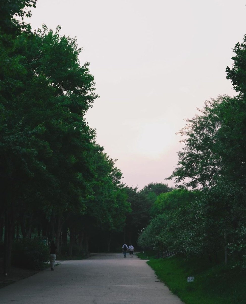 he's sooooo good at capturing nature