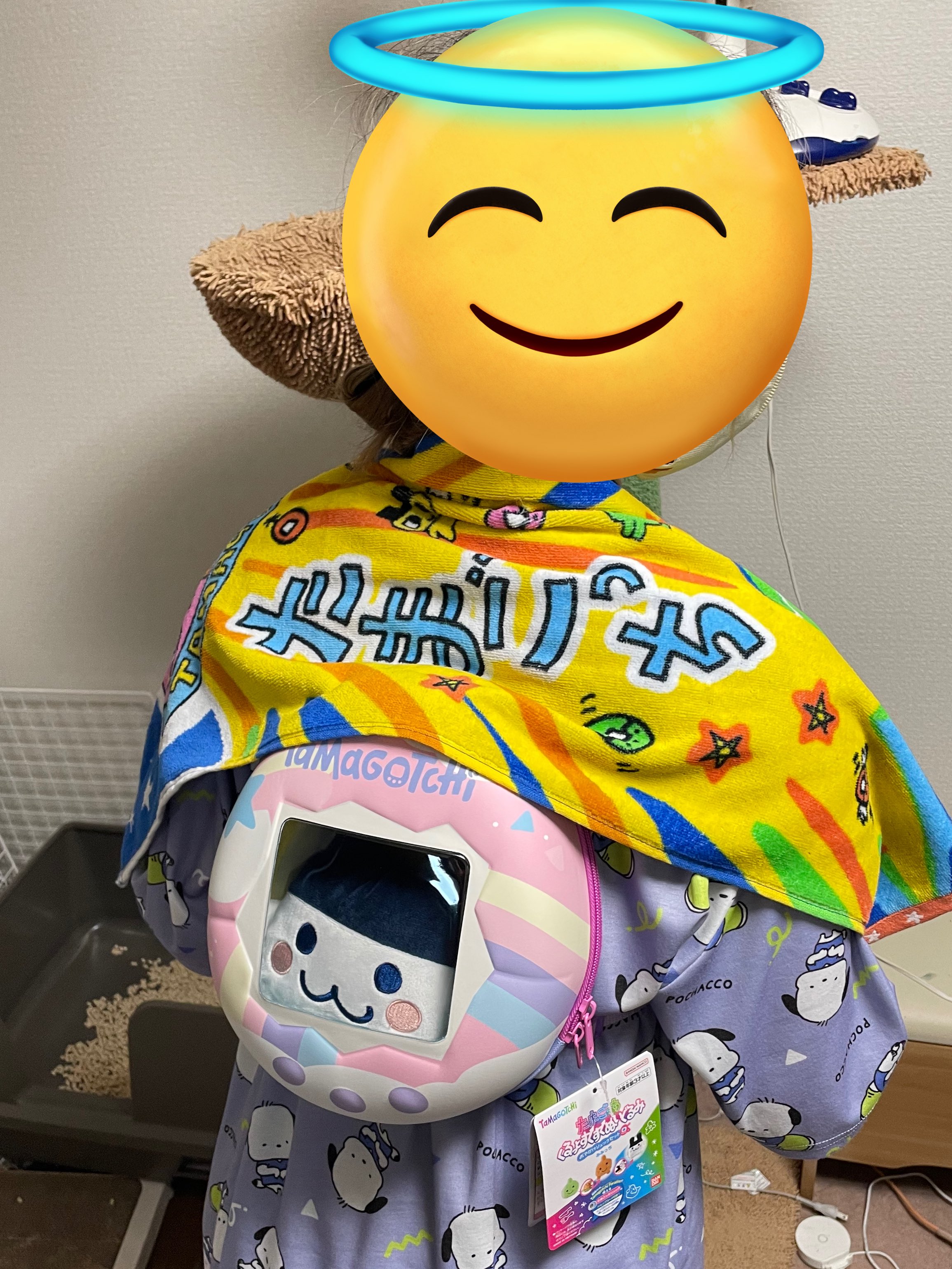 ゆきねこページ ゆきねこ📛 (@yukineko_0922) / X