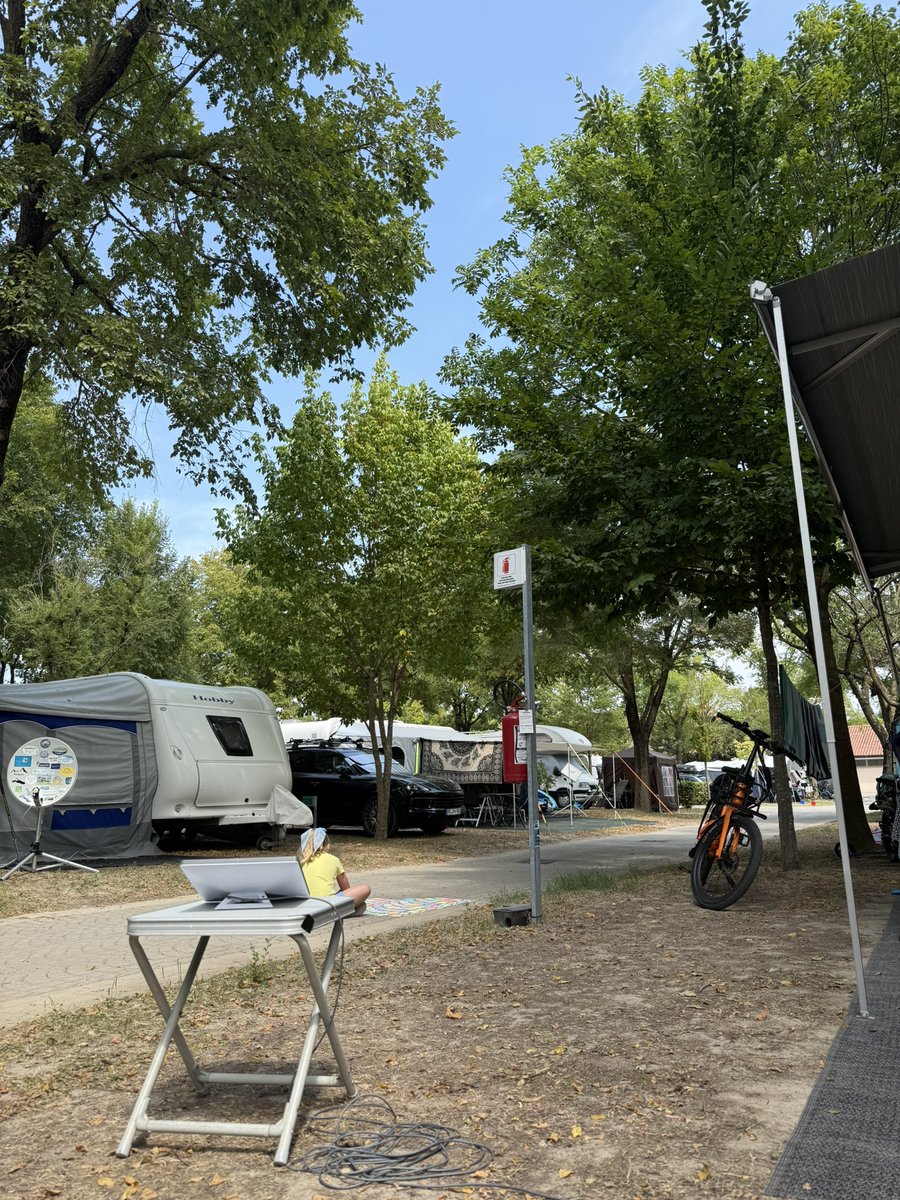 Mike Lamb tweet media