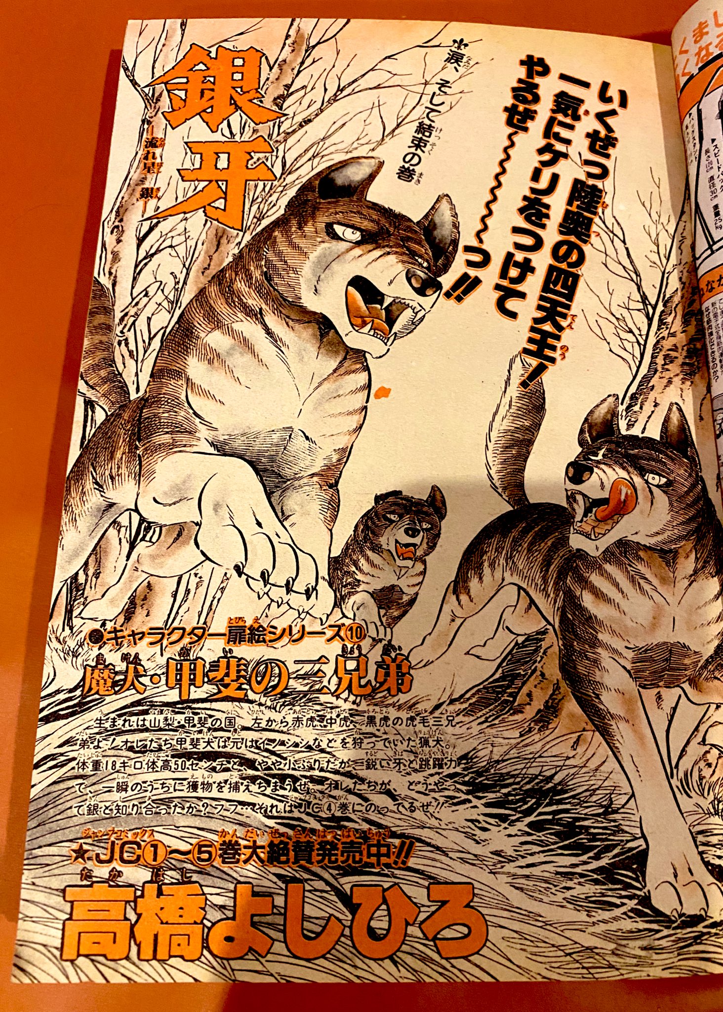 【激レア・美品】2019年犬っこまつり　高橋よしひろ直筆サイン入りクリアファイル 高橋よしひろ - Search / X