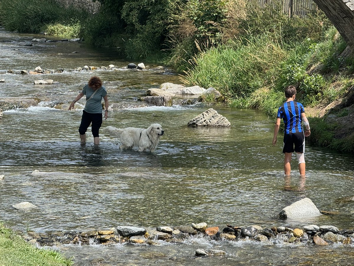pzbaldetena's tweet photo. El Pirineo aragonés no es un @Portaventura_ES si no te sabes comportar no eres bienvenid@

#stopdestruccionmedionatural https://t.co/tt20k5yfm4