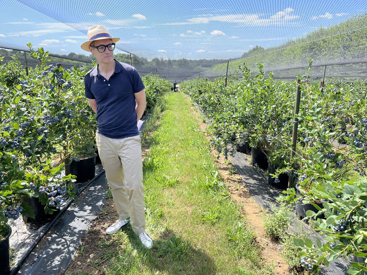 Harry Wallop tweet media