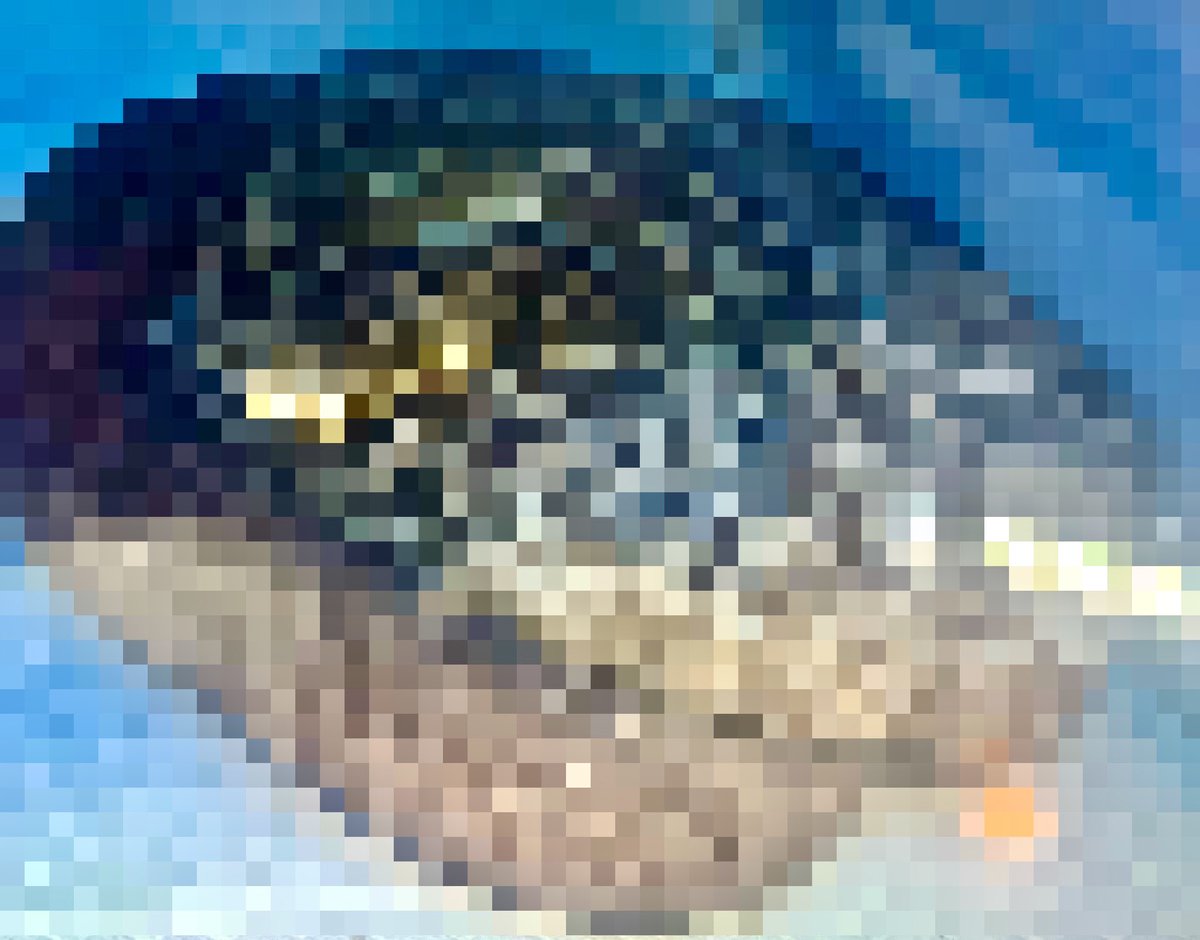 頼んじゃった💦（旦那が）

他にもいろいろ予約してるし 今年は衝動お迎え控えないと💦💦💦
まあ これもご縁だし 探してた子だし なかなか手に入らないし……
頑張って 働きます🐍