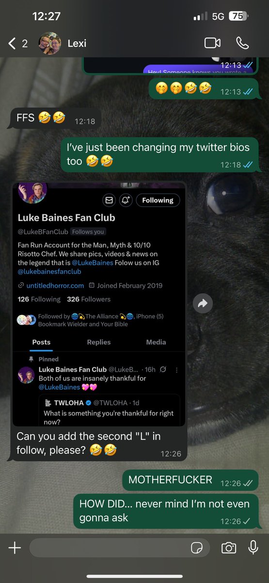 iPhone (5) Bookmark Wielder tweet media