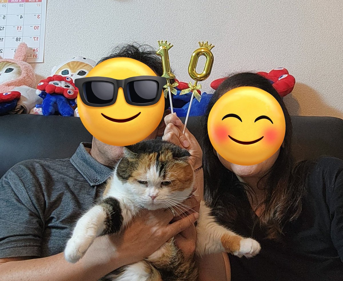 CHIKO391489421's tweet photo. 8/9チコ10歳になりました🎂🎉
帰省の移動日で漸く本日写真撮れました
これからもよろしくね😊
今回も行き14時間、帰り12.5時間の車移動頑張りました
実家でのチコ2枚
車中では今回膝に乗って来ました🎶
#スコティッシュフォールド
#ぽっちゃり部屋新弟子候補生
#猫モフー
#ミケ愛好会 https://t.co/OubCIPWqEf