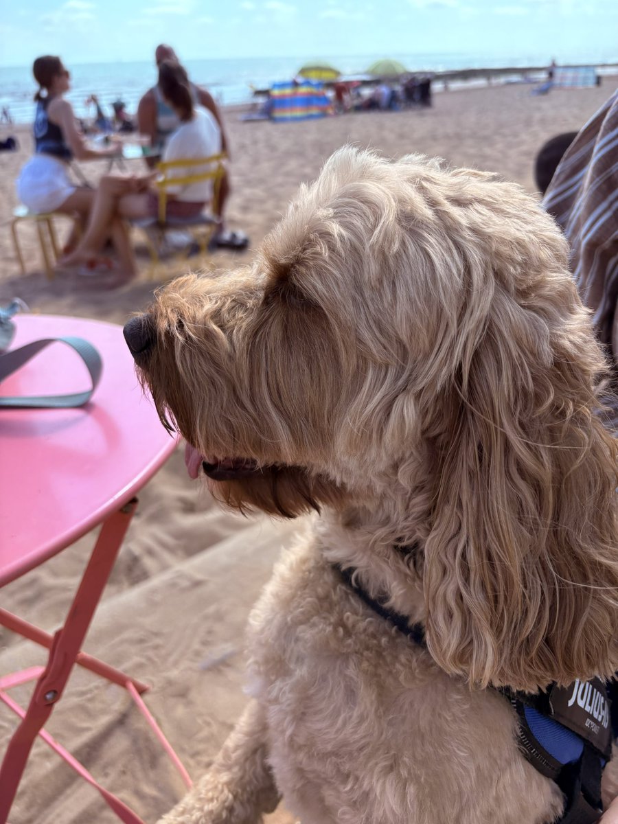 Bruce’s Broadstairs Break