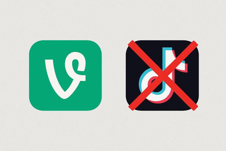 In one month:

TikTok will be banned in US 🛑 

The whole world will create, and share laughter 😆 in Vine 🌱 

We will have freedom of expression and creativity ✨

$VINE will fly 🚀 to the Mars