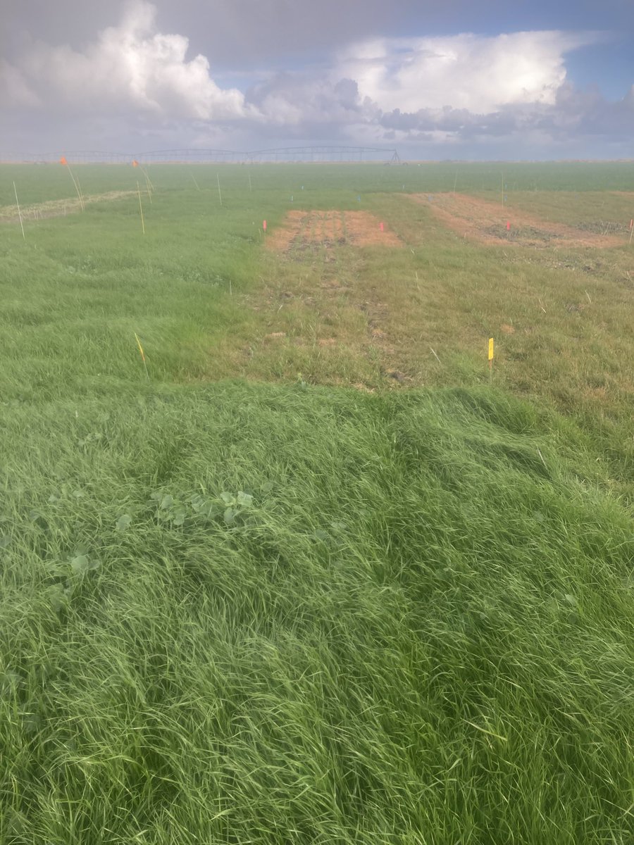 🧢James Stacey tweet media