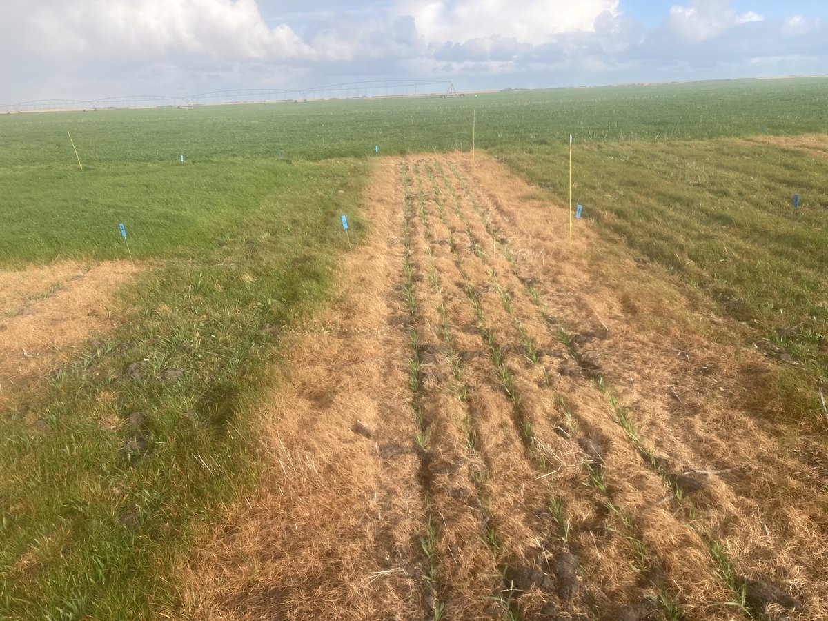 🧢James Stacey tweet media