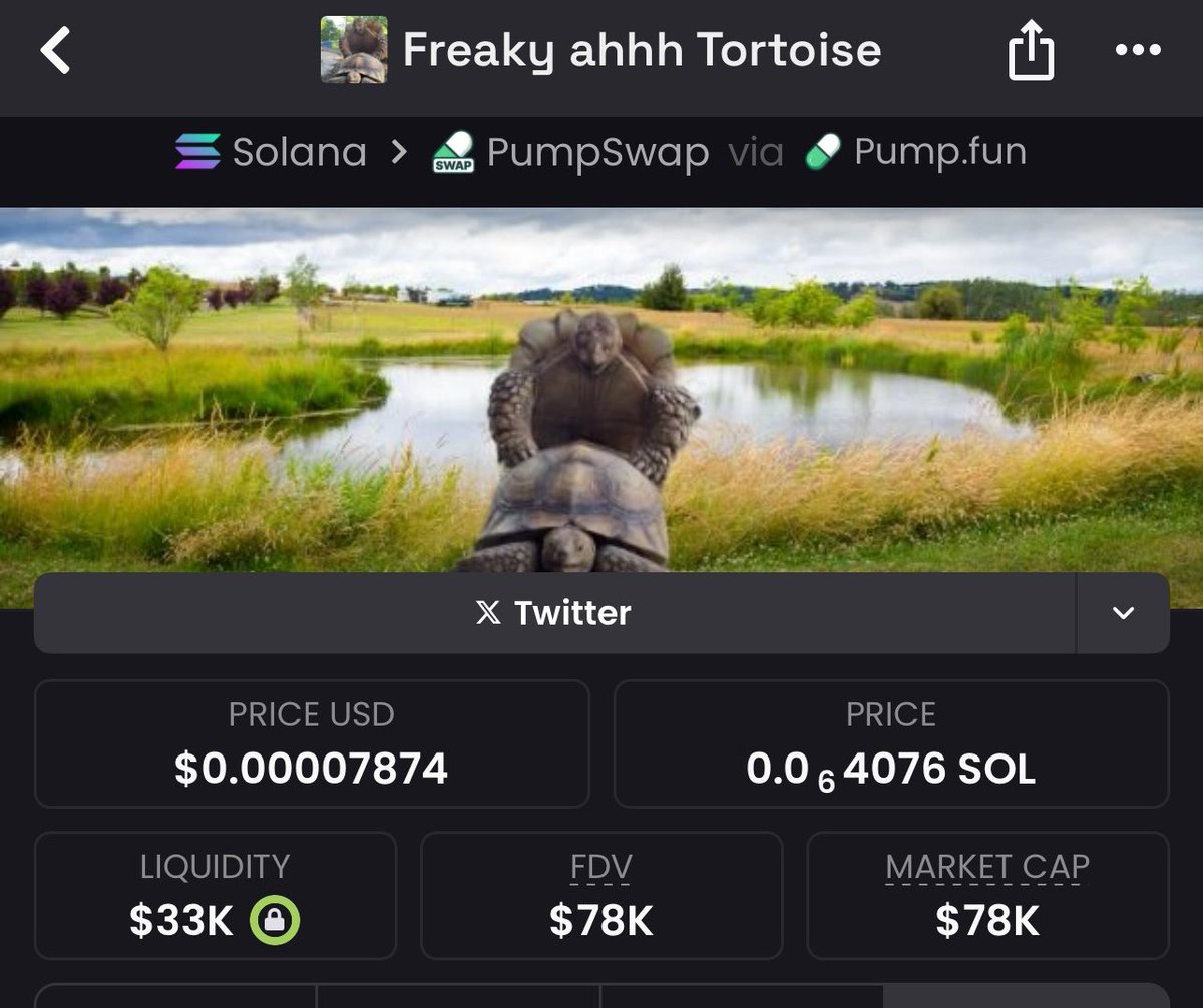 crypto_dave5's tweet photo. #Turtussy
💣 Price detonation:
$78K MC→ $174K 💥
📥 DM for the next bombshell
HkUsajAReJFqqEThofQRrHSRwA2AVu9PwbYXPGGPzdcK
#BombAlpha #SolanaBlast #GemAlerts #CryptoExplosions #BagHunter
#Crypto #memecoin #Solana #Binance #BTCUSDT #Pump #Ethereum https://t.co/ZemcucPVty