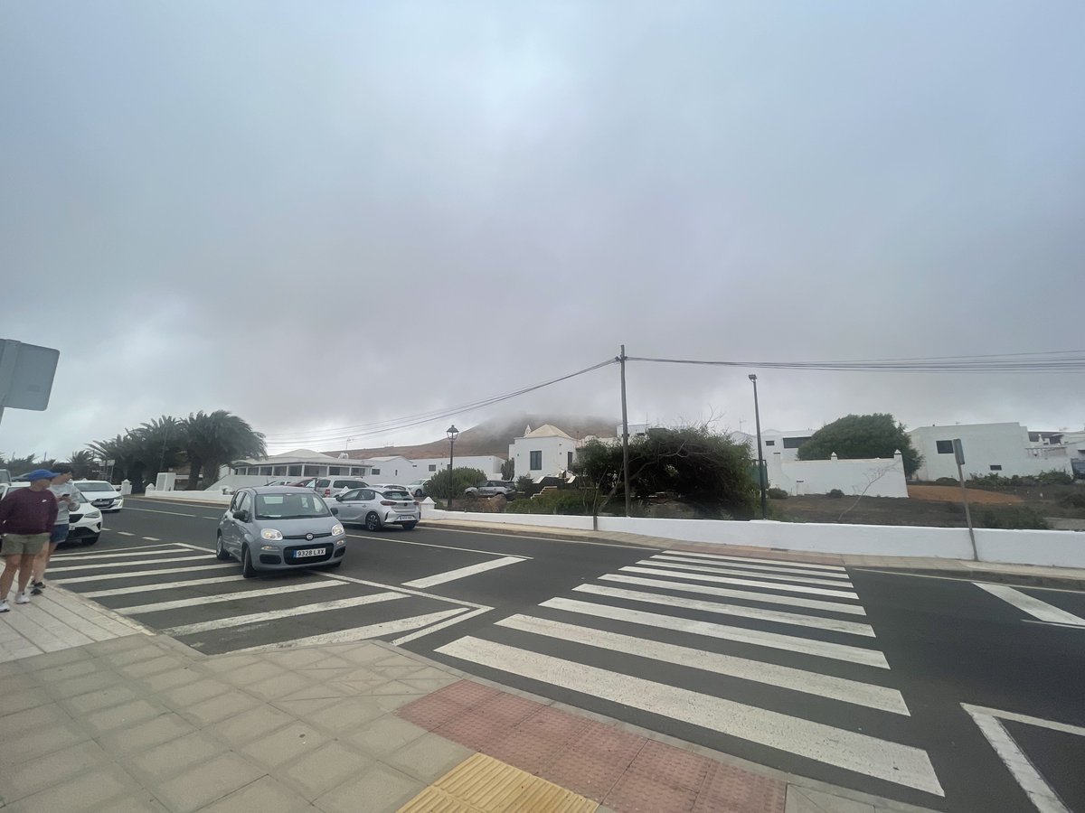 You’d never believe it but half way up a mountain in Lanzarote there’s an NFT gallery! 🤯 

All digital art is on ethereum so ofc I got out my MAYC and Azuki and showed it to the art curator and said “do you know <a href="/BoredApeYC/">Bored Ape Yacht Club 🍌</a> and <a href="/Azuki/">Azuki</a>” and she said “ofc we know the Bored Ape