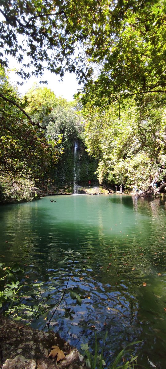 Ben ağaçların soyundanım
Ve bu “bayat” havayı solumak kederlendiriyor beni..