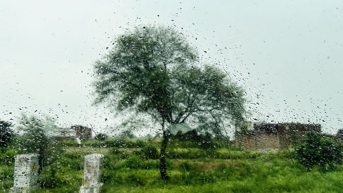 “You sit by the window and watch the rain falling, you miss the time when happiness was all about collecting raindrops on your palms.”

― Nitya Prakas