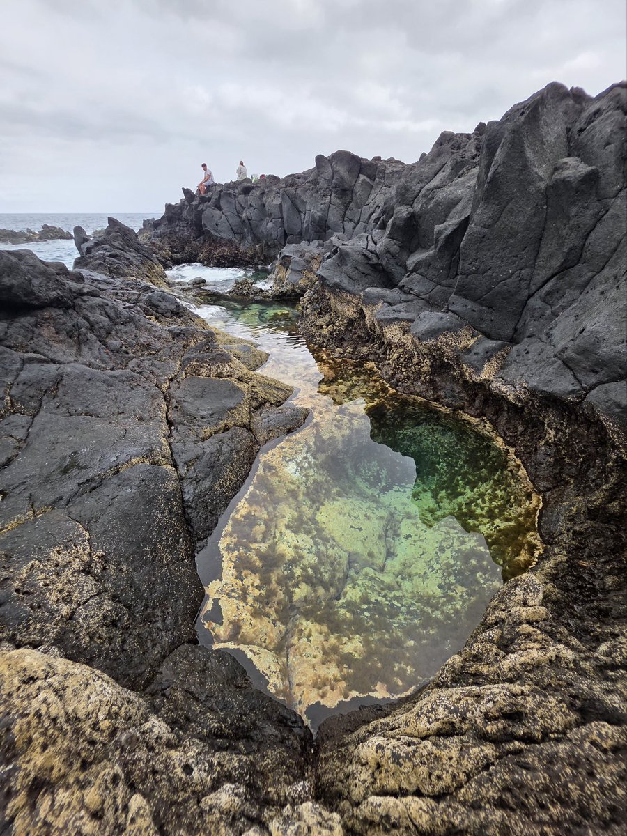 Da igual cuando lo leas:
"Que suerte vivir en Canarias"

#Tenerife 🏴󠁧󠁢󠁳󠁣󠁴󠁿