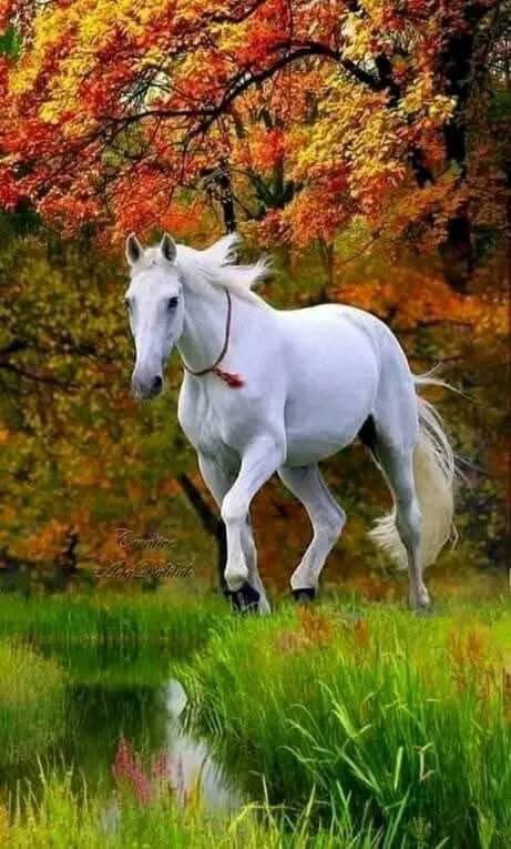 نقدس جميع اخطائنا 
التي جعلت لنا عقلا واعيا 
وجعلت قلبي مرنا ومعتادا
على كلّ ماهو مؤذ ي