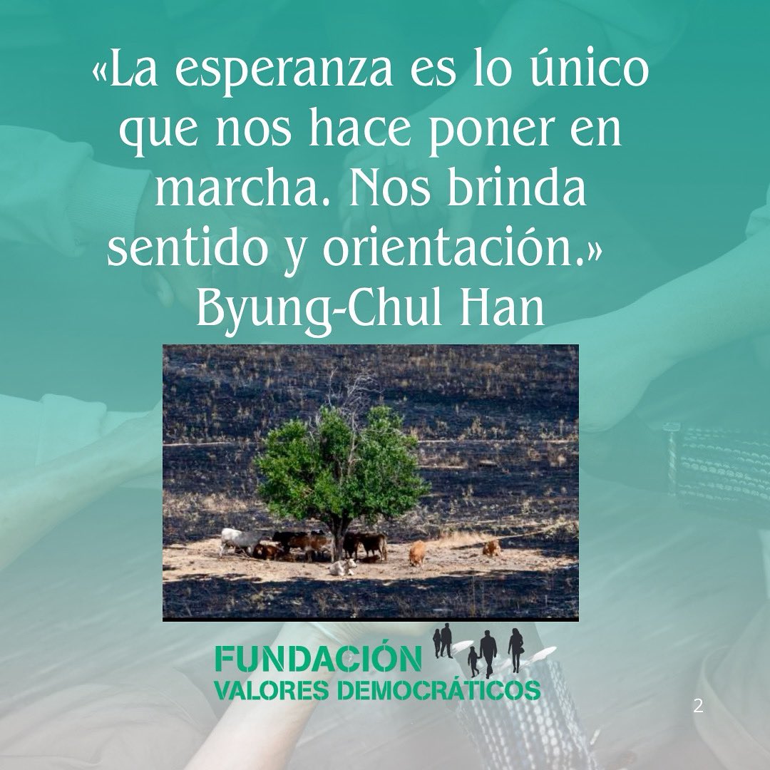 Los incendios de este verano nos recuerdan la responsabilidad de todos en el cuidado de los bosques, de nuestros pueblos, de nuestro futuro, de nuestra vida.
<a href="/FundlaCaixa/">Fundación ”la Caixa”</a> <a href="/FundacionDeCyL/">Fundación de Castilla y León</a> <a href="/FVDemocraticos/">Fundación Valores Democráticos</a> #Responsabilidad #Ciudadanía