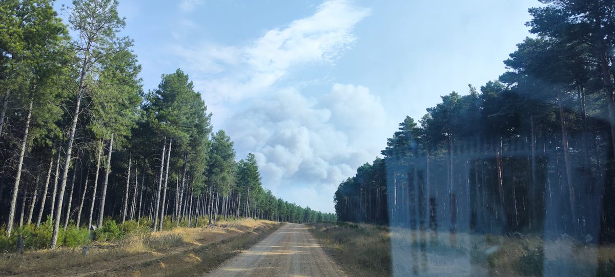 naturalezacyl's tweet photo. A esto nos enfrentamos estos días, pinares de #Riocamba, el antes y el después del paso del #IFCanalejas. #INFOCAL
1800 ha en 80 minutos. ¿Quién puede parar esto?
En estos #IIFF la estrategia es priorizar a las personas y poblaciones
#QuéEstáPasando?
https://t.co/G0Ctp9IqkQ https://t.co/RuVGJIBjVT