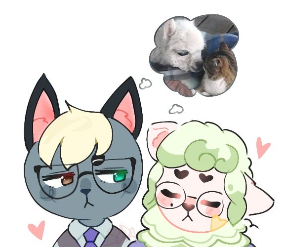 pookievil's tweet photo. I think they want to kiss eachother or sm .. (TuT )
fancygummy explodes!!!
— #acnh #acnl #raymond #narciso #yumetwt #selfshiptwt
#raymondacnh #animalcrossing https://t.co/cmeNWAByMZ