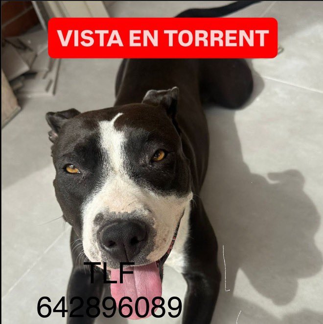 Ainhara (@ainhara69) on Twitter photo Telefono 642896089 Telefono 642896089