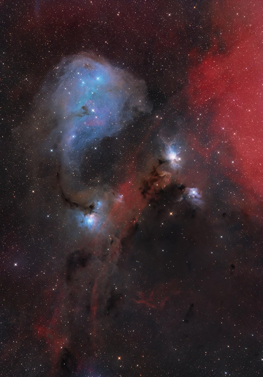 AstroBin's Image of the Day: "IC 447 Dreyers Nebula" by eric_77

astrobin.com/cvti1a/

#astrophotography
