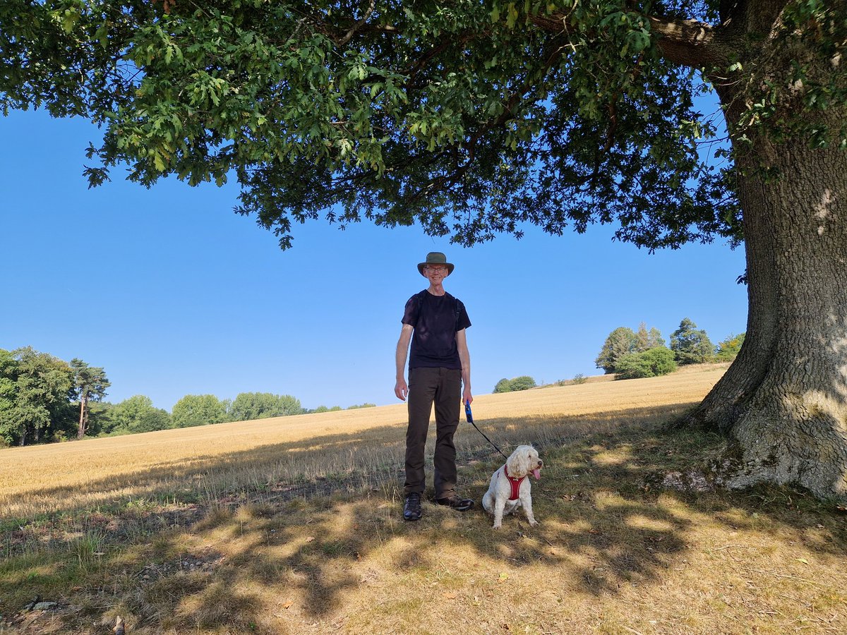 John Dabell tweet media