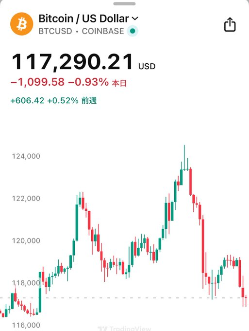 📉 BTC $117,290 (-0.93%)
本日は下落基調、一時124,000ドルに迫った後に反落。
週間では依然プラス (+0.52%) を維持。
短期的には調整局面、サポートは116,000ドル付近。
#BTC #ビットコイン #仮想通貨