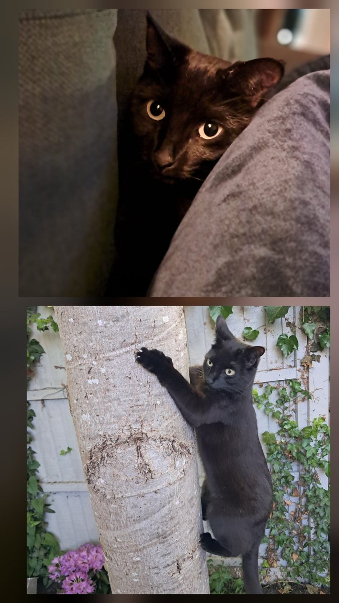 James 🇺🇦 tweet media