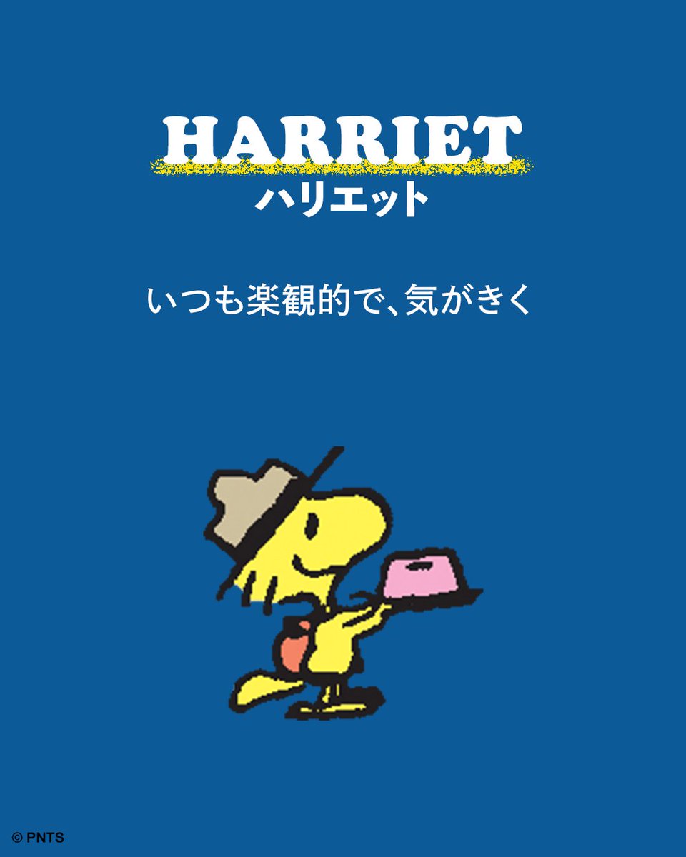 ☆snoopy☆様♡ご確認用ページです Amazon | S&Cコーポレーション スヌーピー ビックフレーク