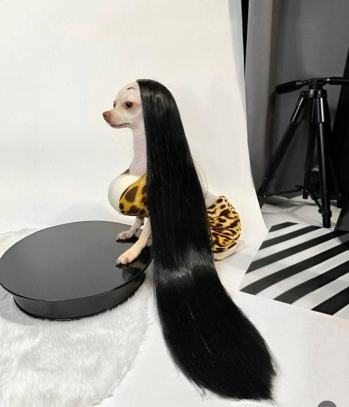 GM CT
Happy Sunday Famz.
Going for the Sabbaths at the moment 😊 😁