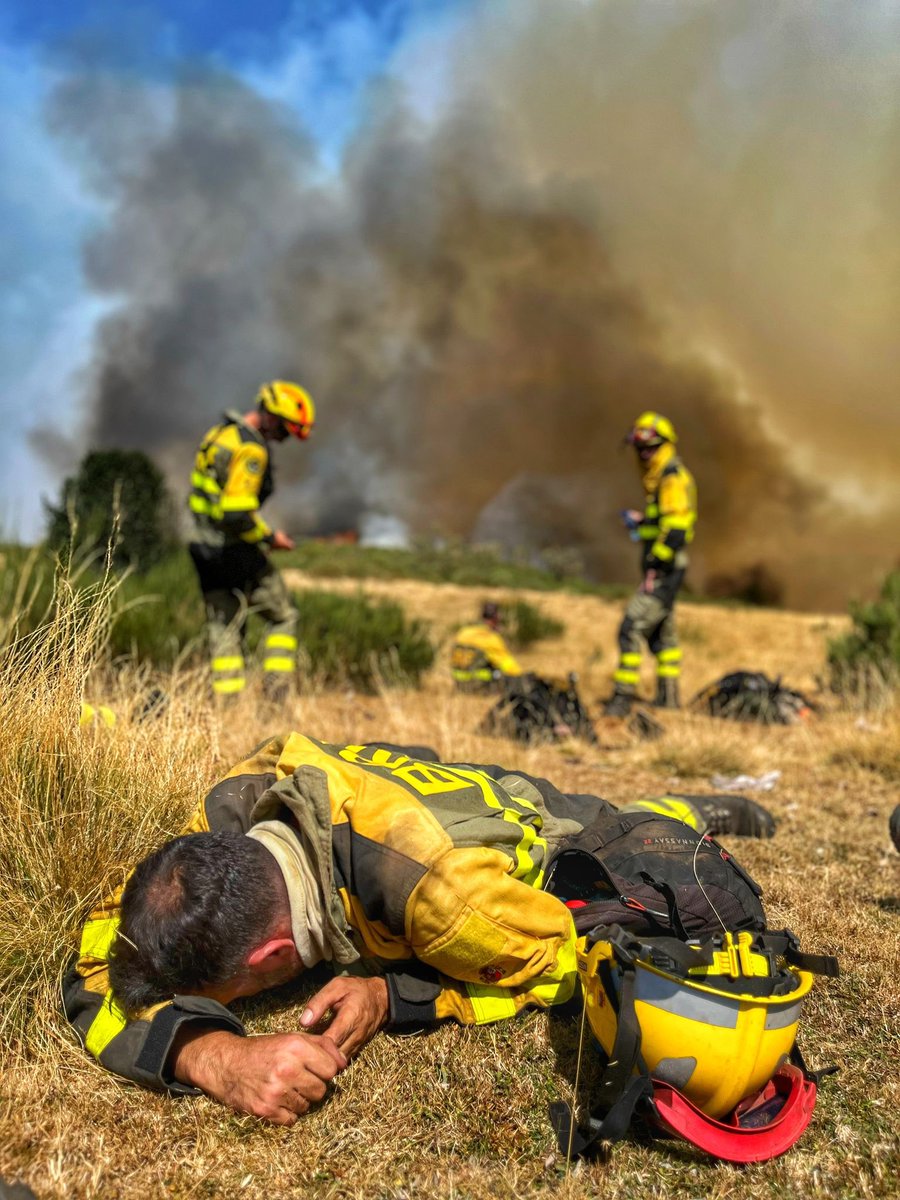 BRIF de Tineo tweet media